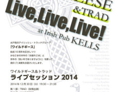 12月30日WILD GEESE Liveポスター届きました！